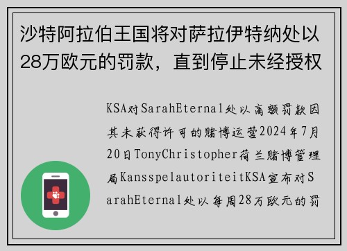 沙特阿拉伯王国将对萨拉伊特纳处以28万欧元的罚款，直到停止未经授权的产品提供。